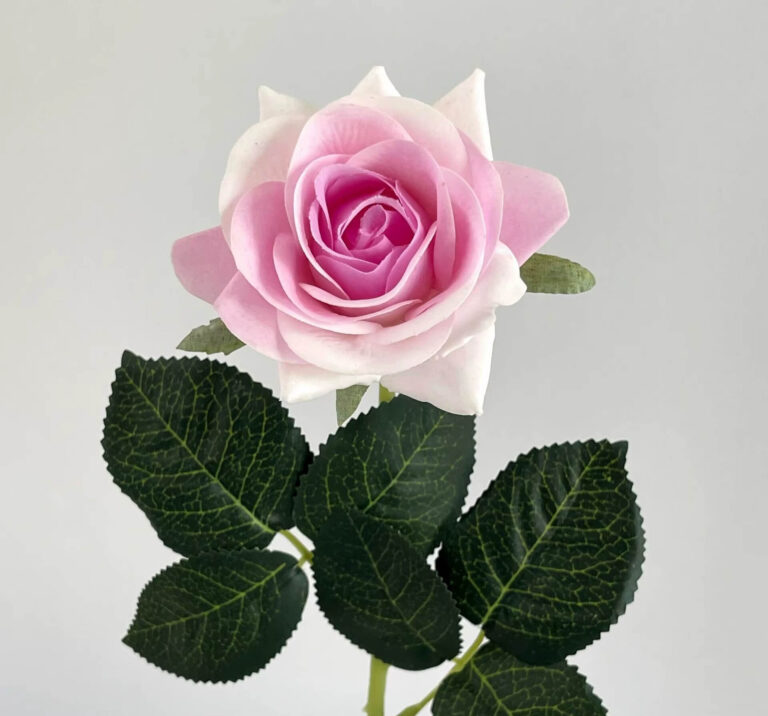 donker roze roosje