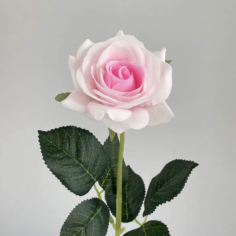 donker roze roosje