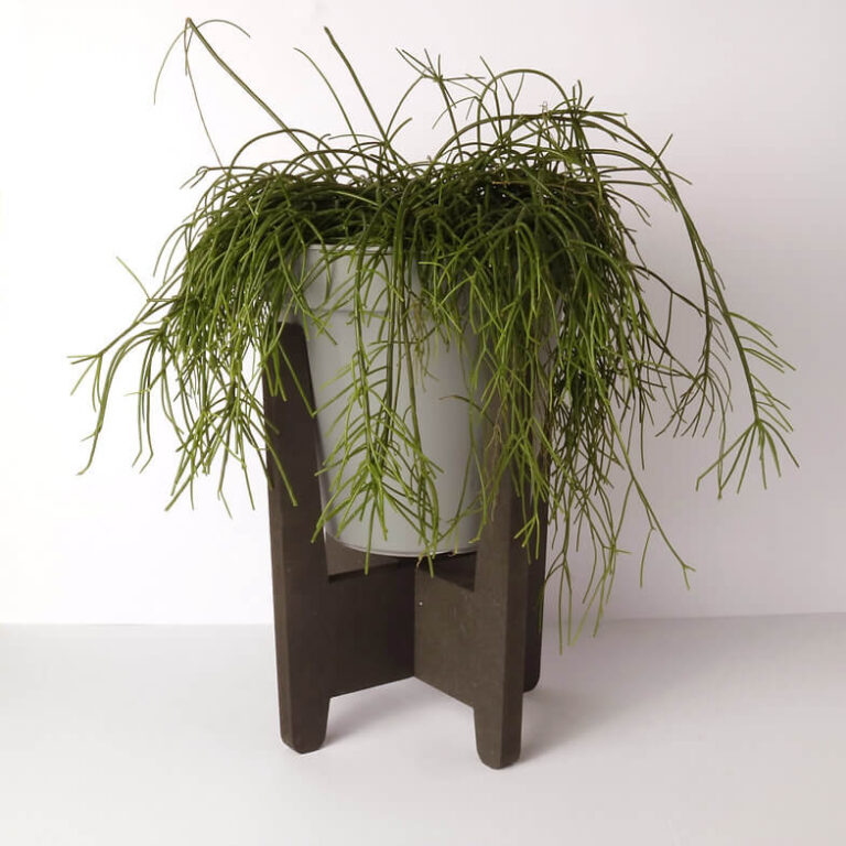 Planten standaard Groot