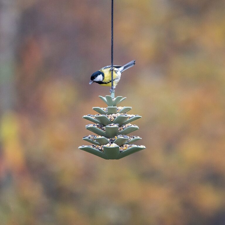 Vogel Voeder Dennenappel Jesse