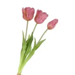 Papegaaien tulpen