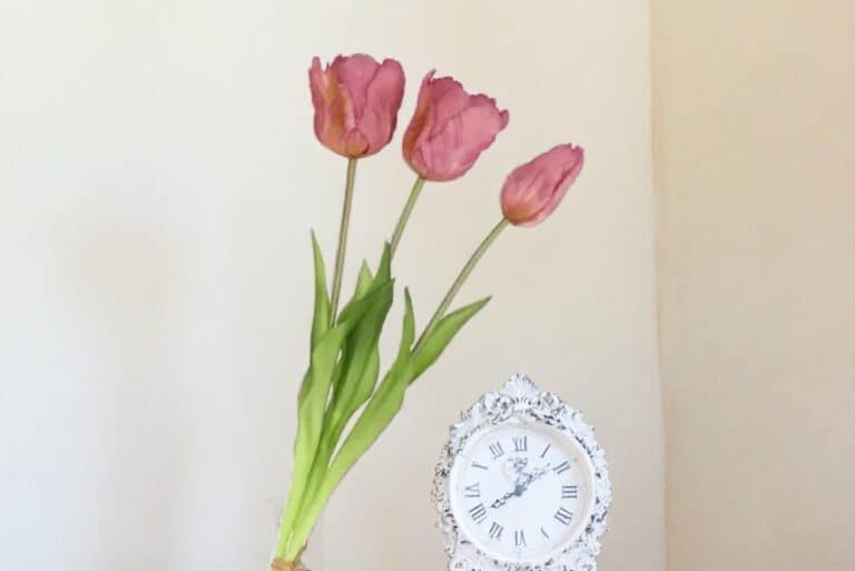 tulpen