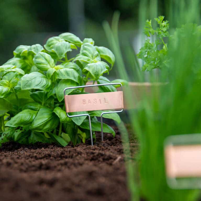 Moestuindingen(1)