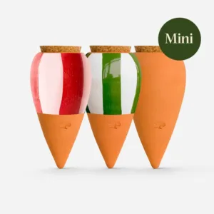 Mini BewateringsOllas  Trio Gestreept