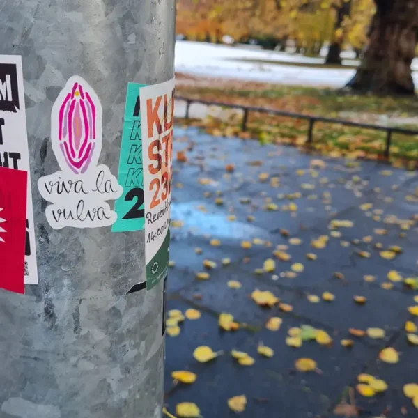 Vulva