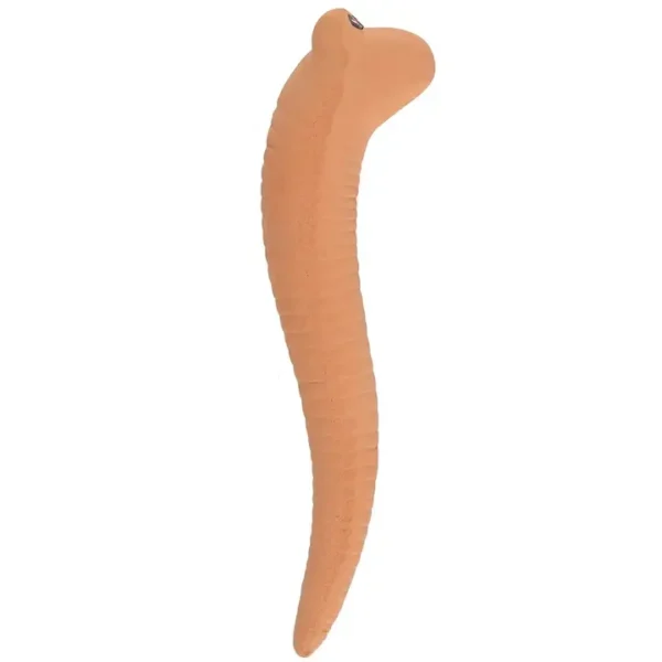 Willy the Worm