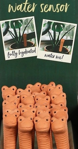 Willy the Worm