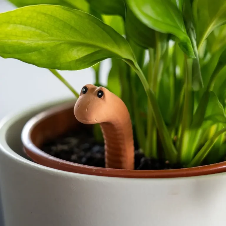 Willy the Worm