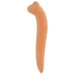 Willy the Worm