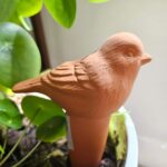 Bewaterings vogel terra