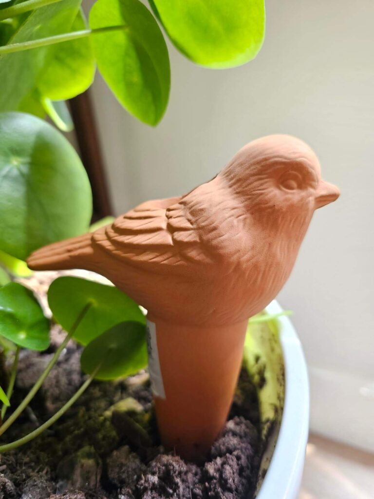 Bewaterings vogel terra