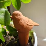 Bewaterings vogel terra