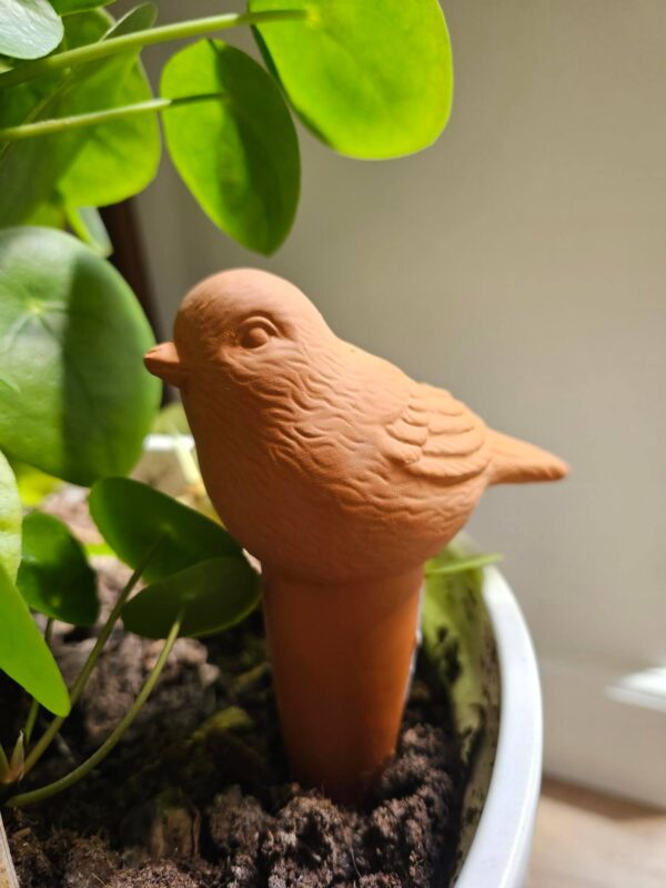 Bewaterings vogel terra