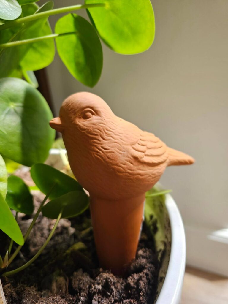 Bewaterings vogel terra