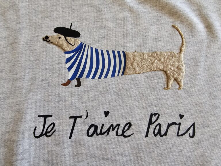 Teckel Trui – “Je t’aime Paris” Grijs